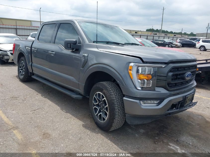 2023 FORD F-150 XLT