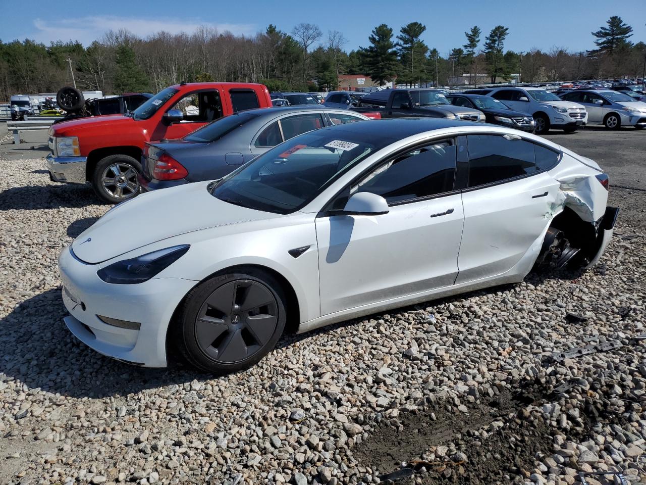 2023 TESLA MODEL 3