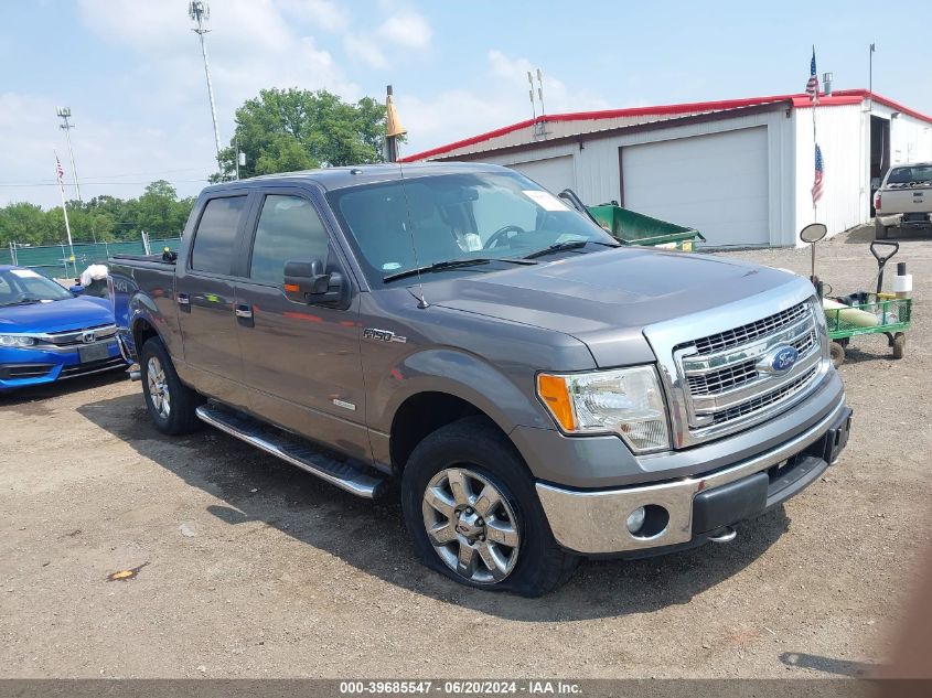 2014 FORD F-150 XLT