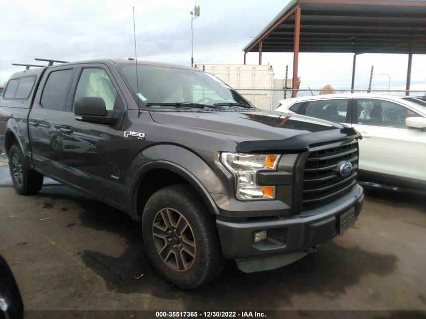 2015 FORD F-150 XLT