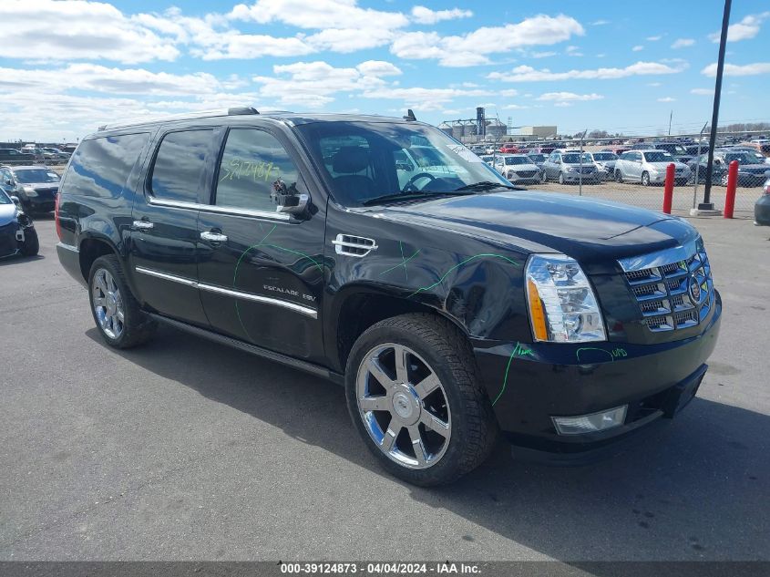 2011 CADILLAC ESCALADE ESV PREMIUM