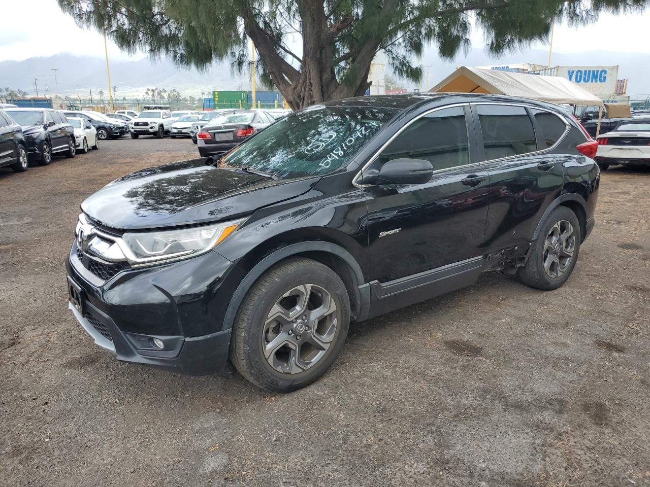 2019 HONDA CR-V EXL