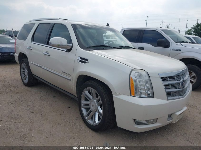 2010 CADILLAC ESCALADE PLATINUM EDITION