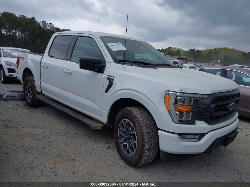 2023 FORD F-150 XLT