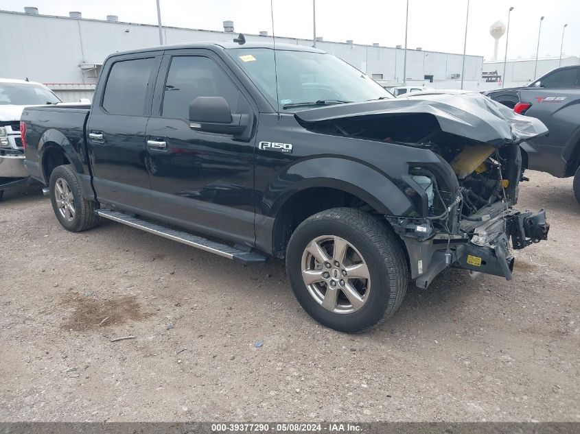 2019 FORD F-150 XLT