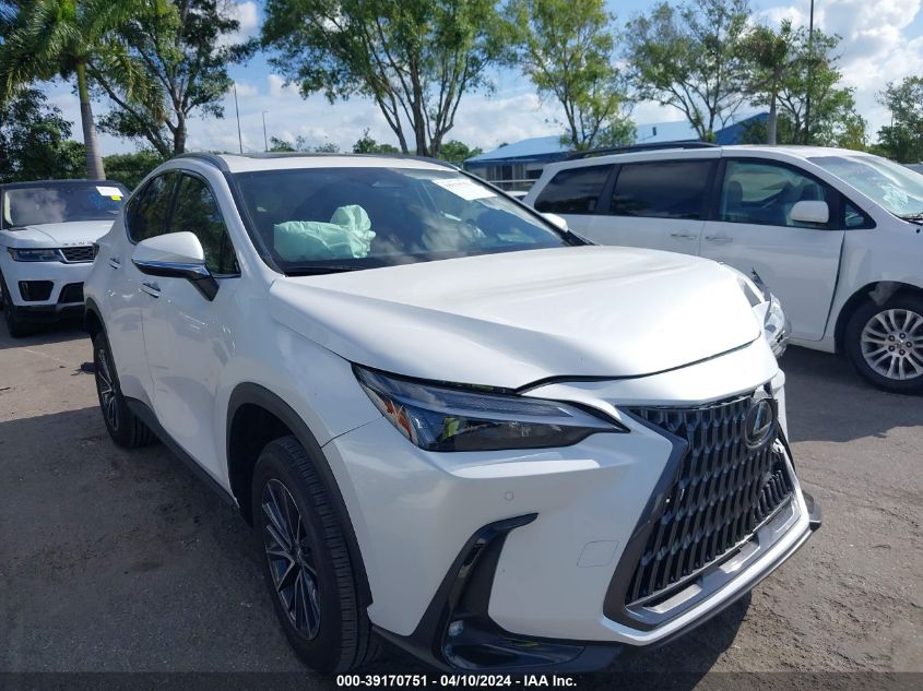 2024 LEXUS NX 250 PREMIUM