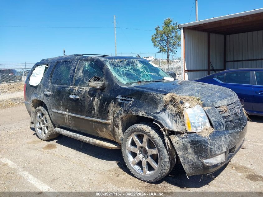 2011 CADILLAC ESCALADE LUXURY