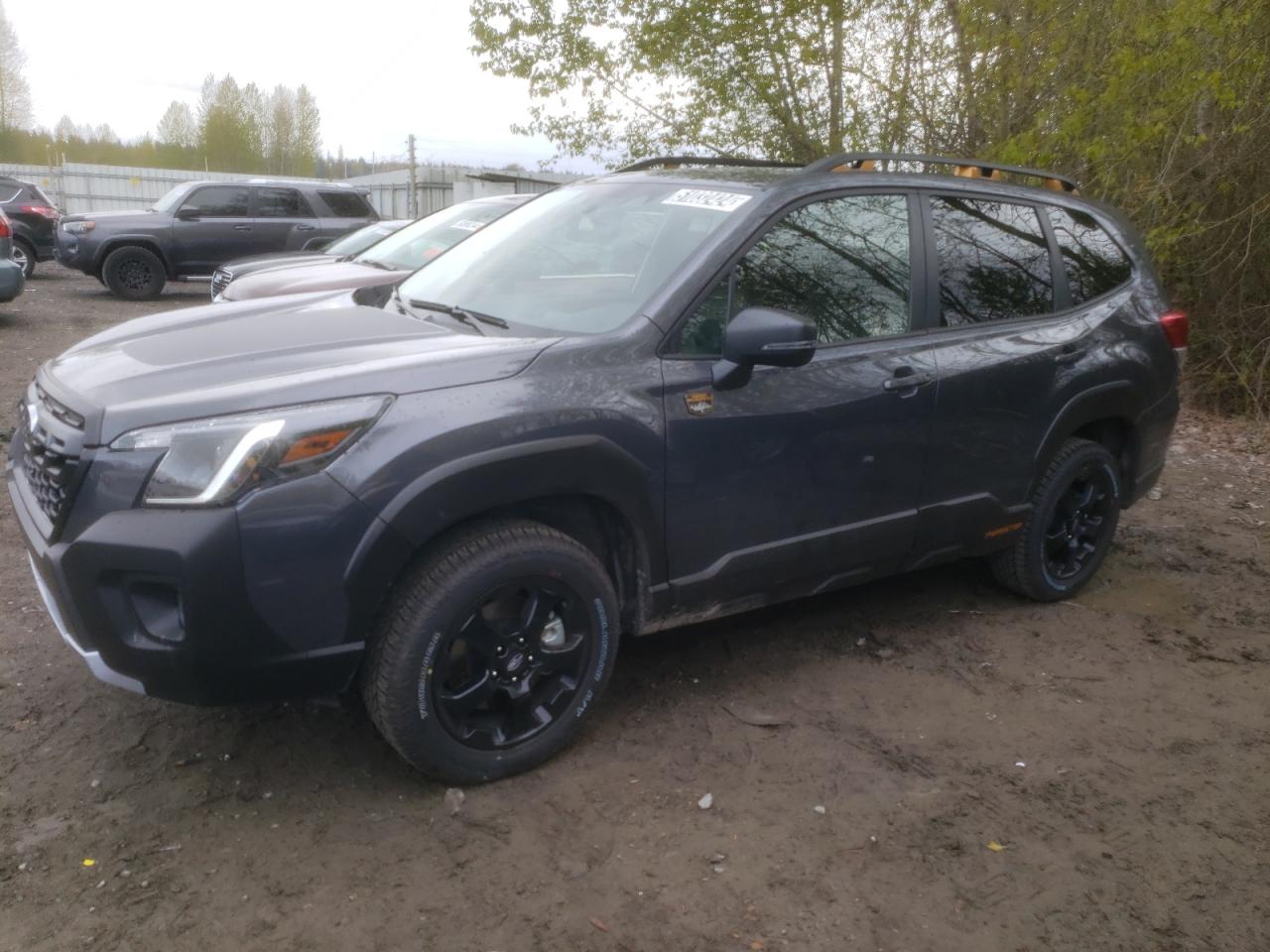 2024 SUBARU FORESTER WILDERNESS