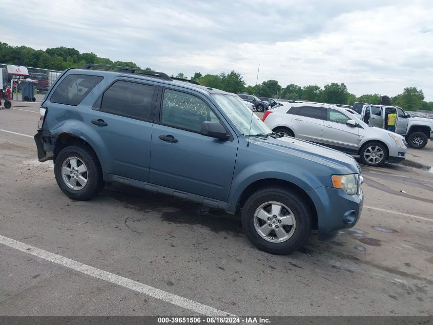 2010 FORD ESCAPE XLT