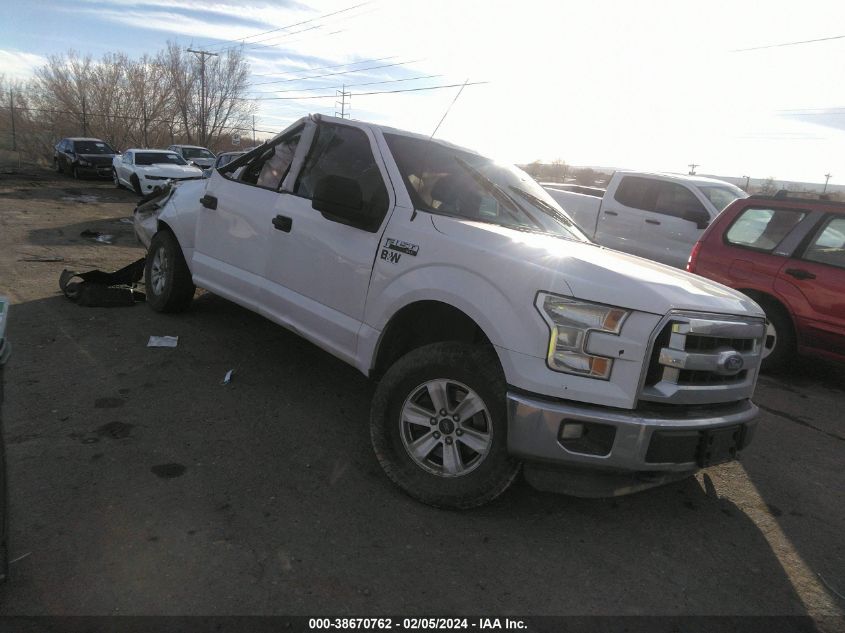 2015 FORD F-150 XLT