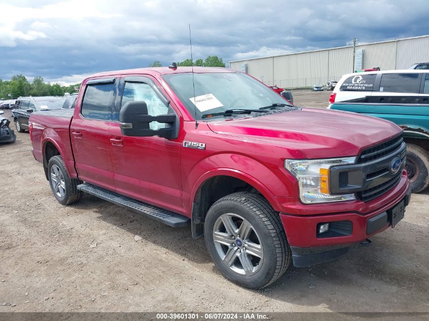 2019 FORD F-150 XLT