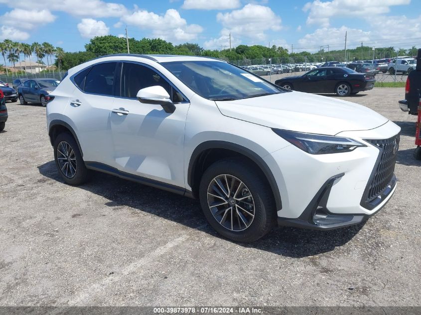 2024 LEXUS NX 250 PREMIUM