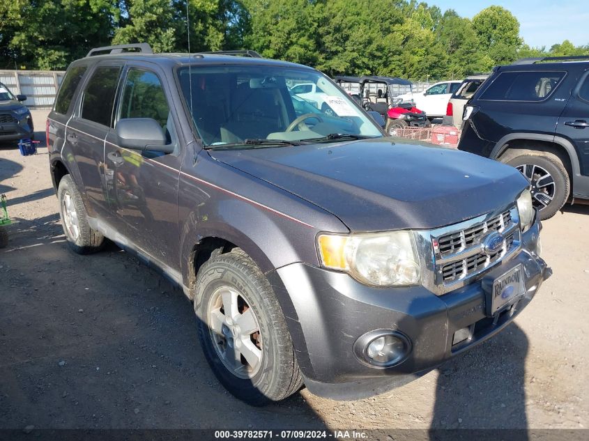 2010 FORD ESCAPE XLT