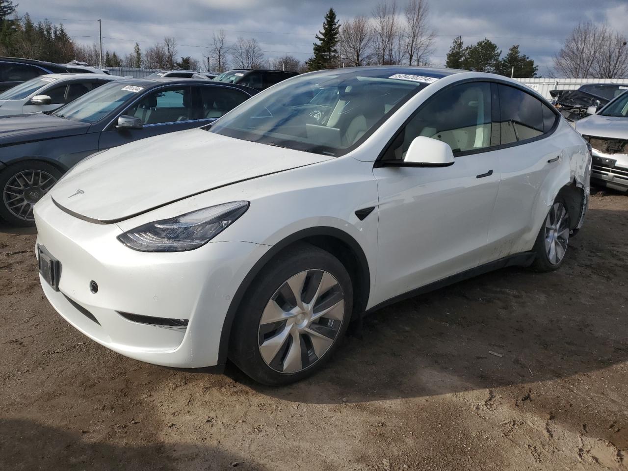 2022 TESLA MODEL Y