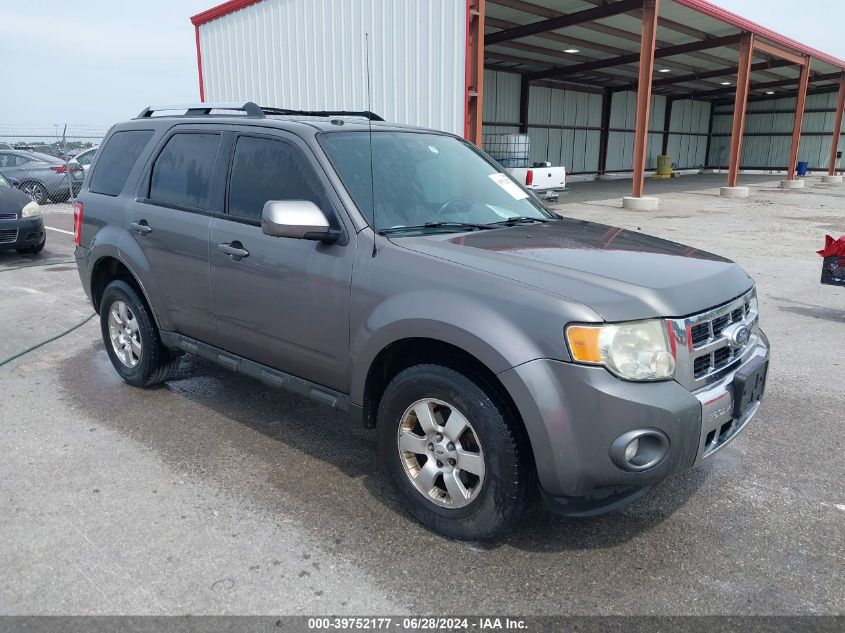 2010 FORD ESCAPE LIMITED