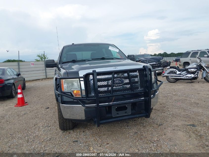 2010 FORD F-150 XLT