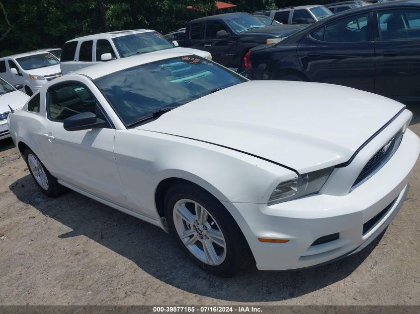 2013 FORD MUSTANG V6