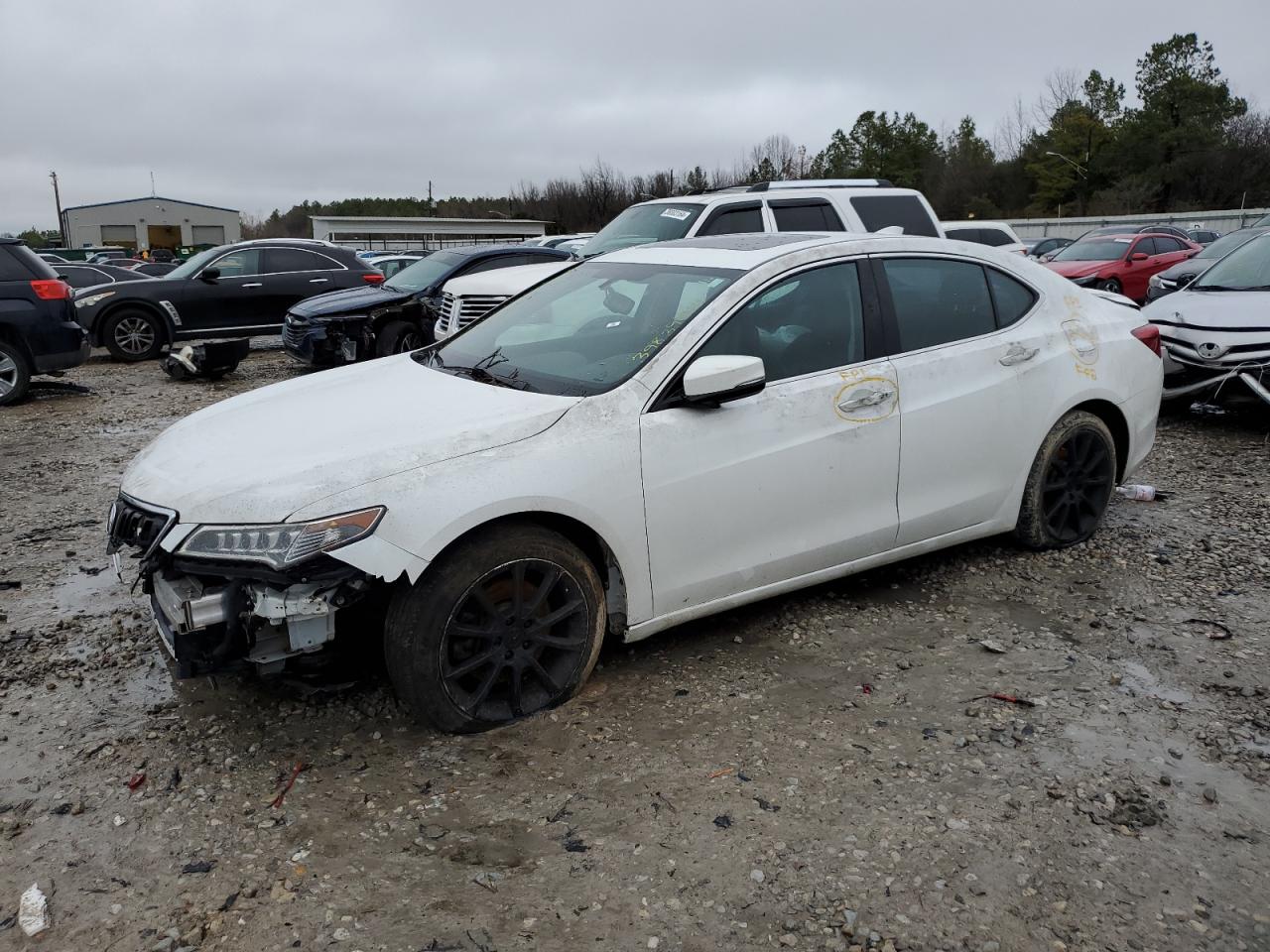 2016 ACURA TLX