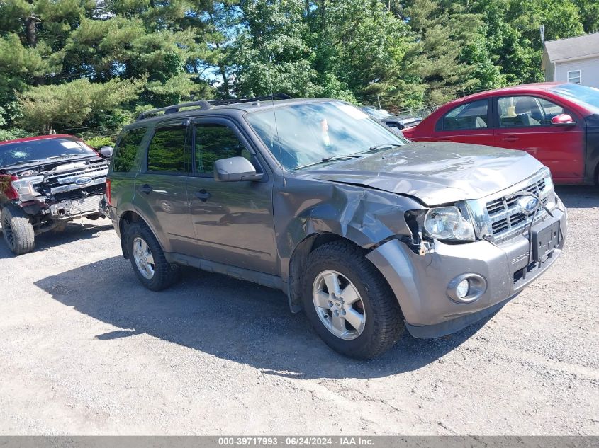 2011 FORD ESCAPE XLT