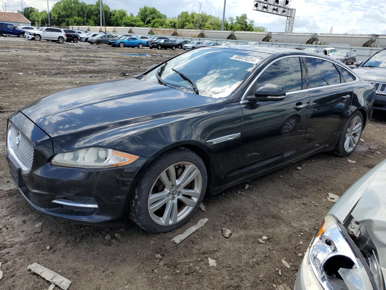 2011 JAGUAR XJL