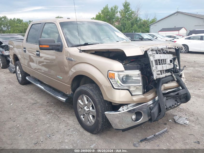 2014 FORD F150 SUPERCREW