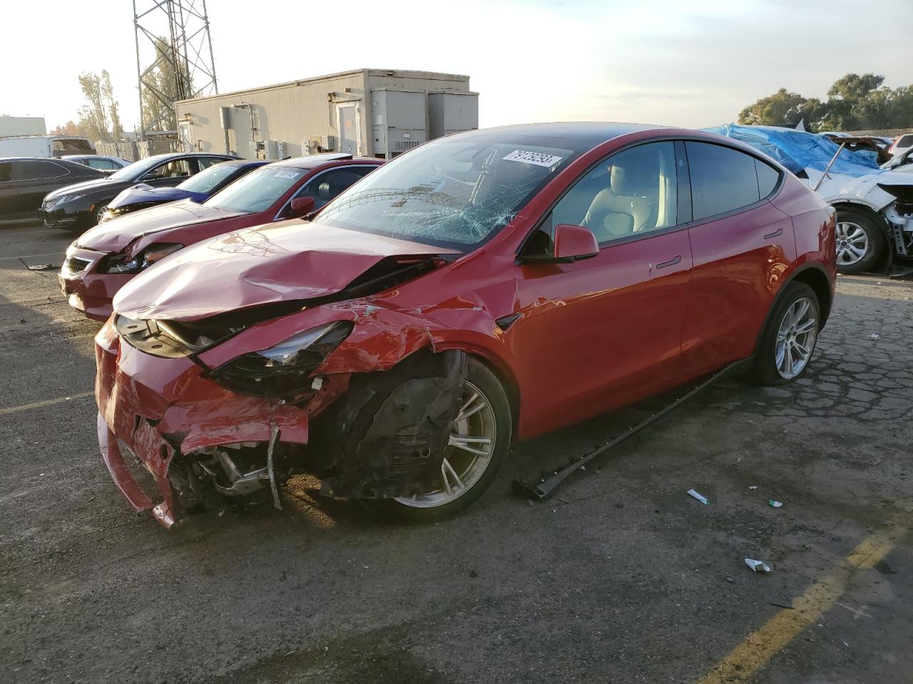 2023 TESLA MODEL Y