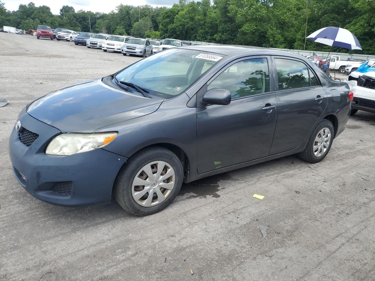 2010 TOYOTA COROLLA BASE