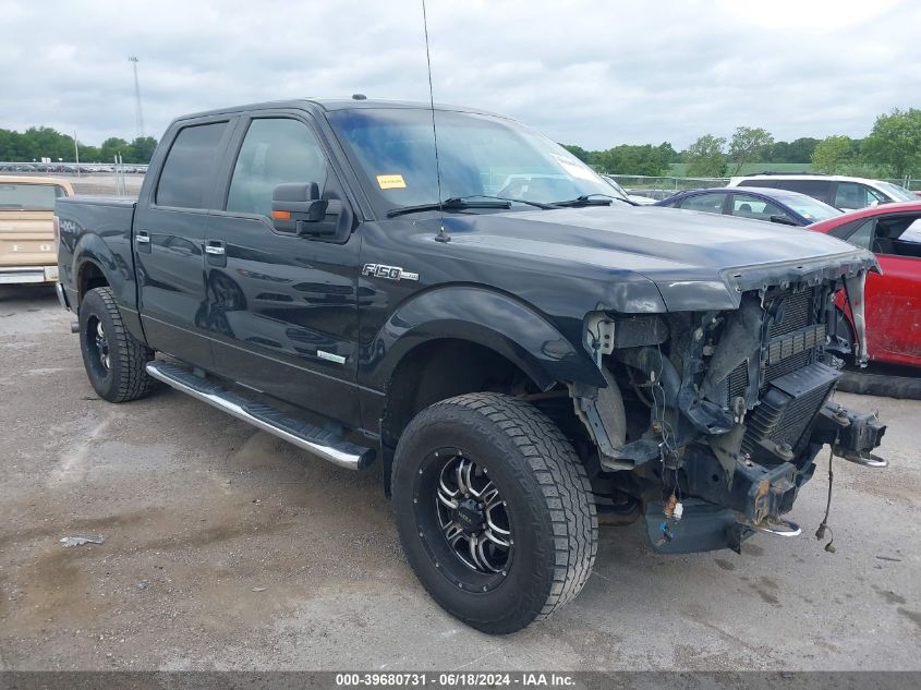 2013 FORD F-150 XLT