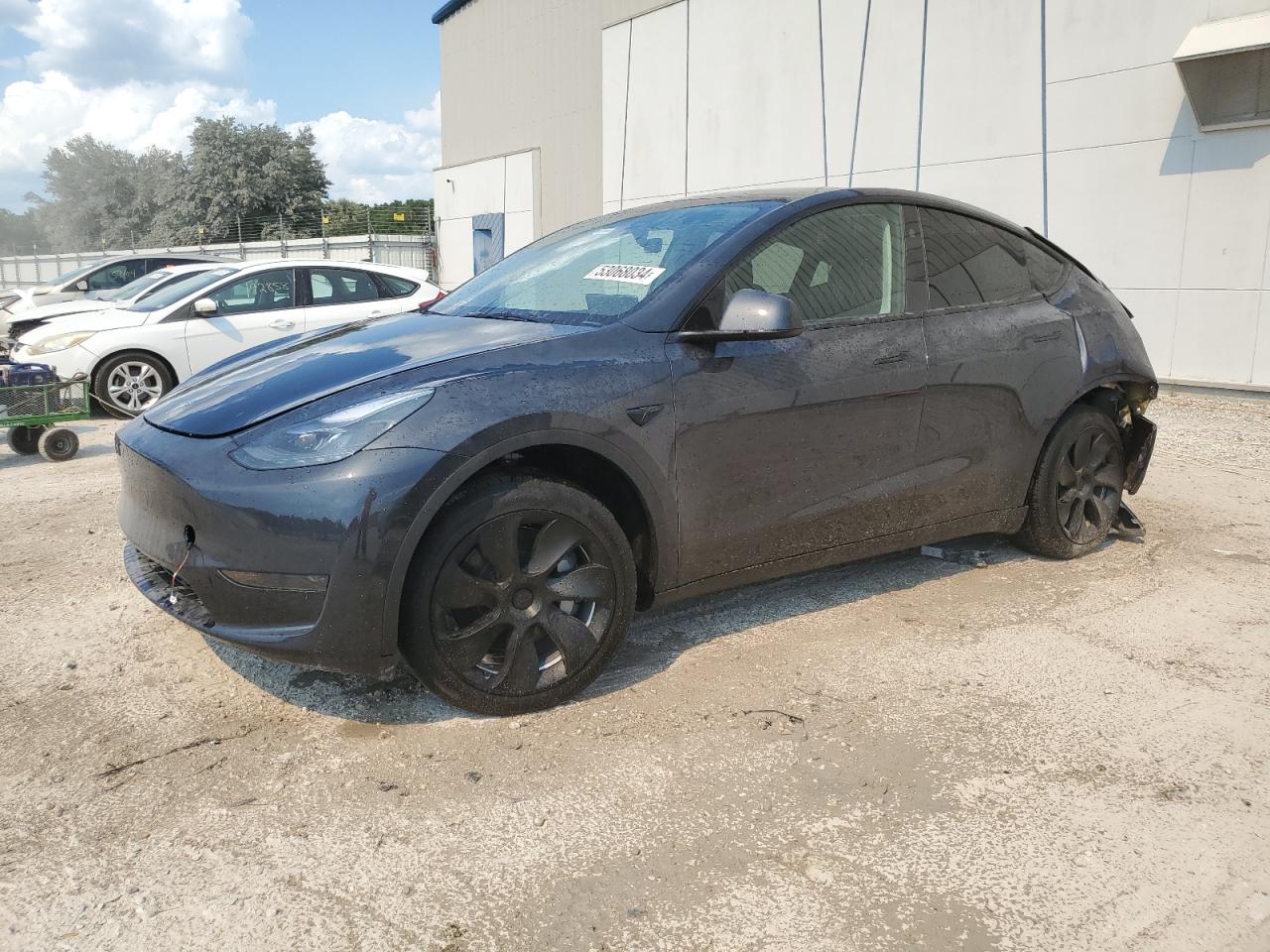 2024 TESLA MODEL Y