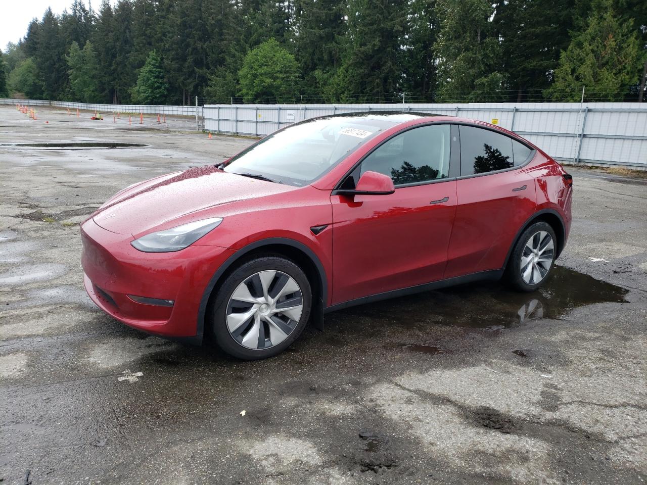 2024 TESLA MODEL Y