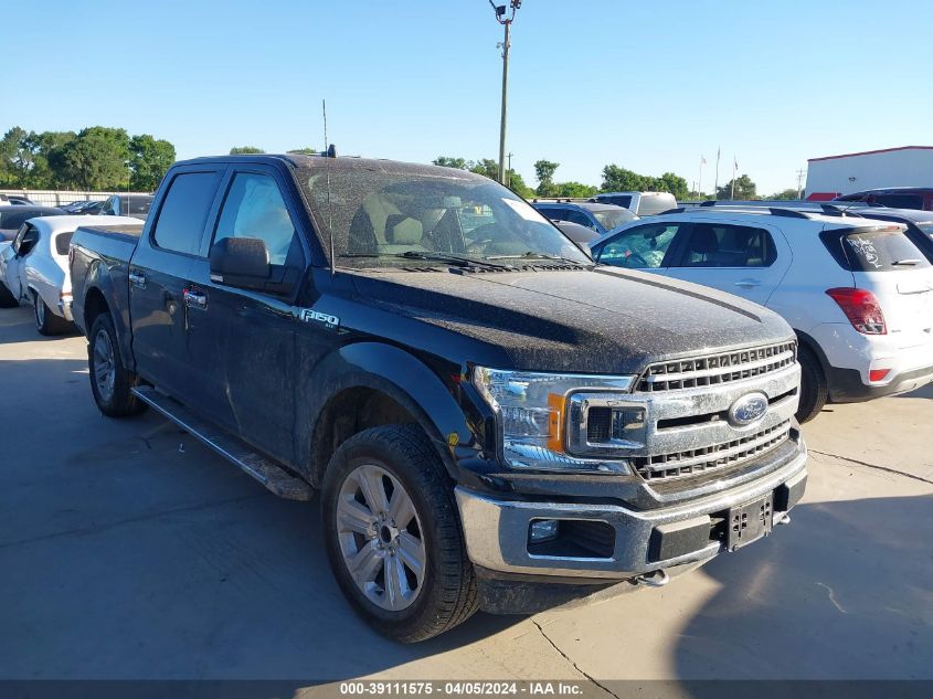 2019 FORD F-150 XLT