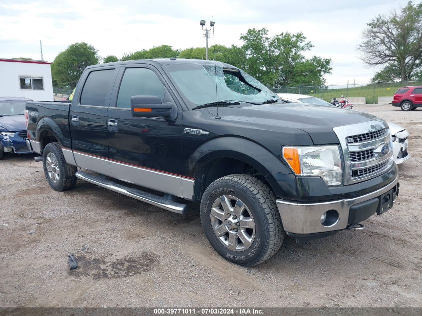 2013 FORD F-150 XLT