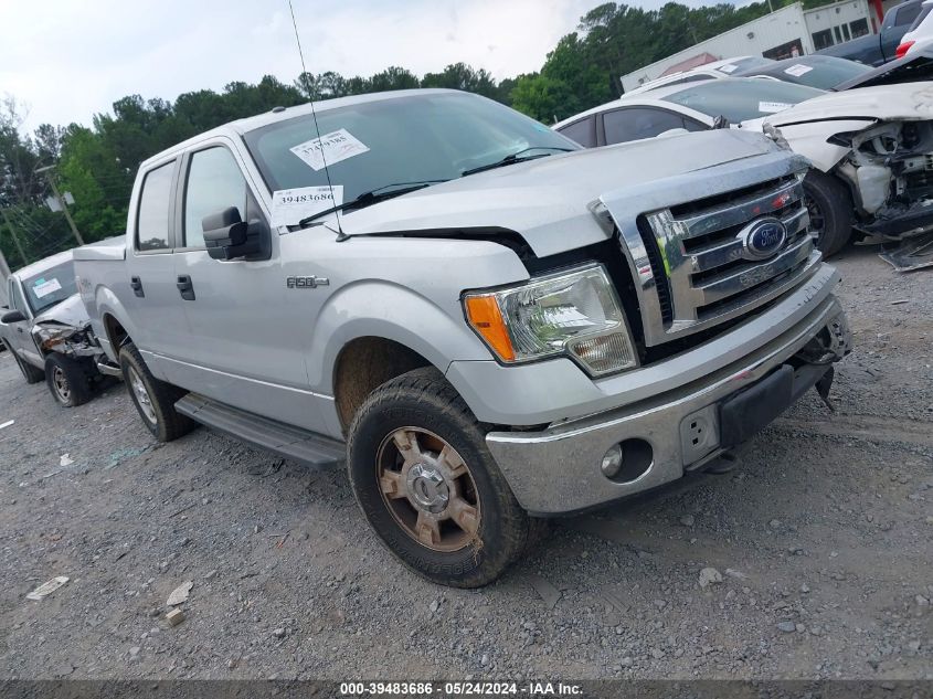 2012 FORD F-150 XLT