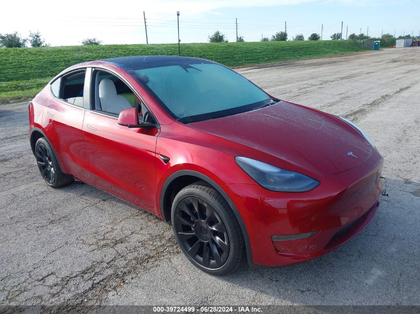 2024 TESLA MODEL Y