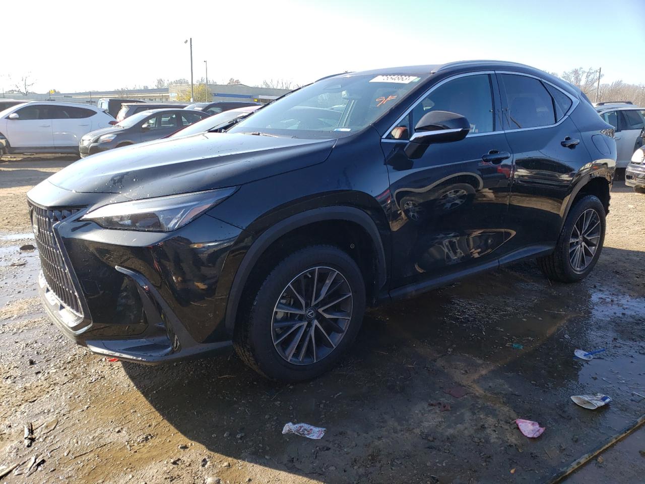 2023 LEXUS NX 250