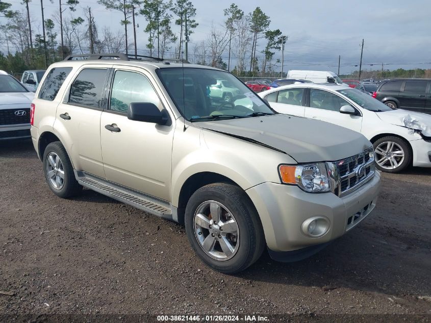 2012 FORD ESCAPE XLT