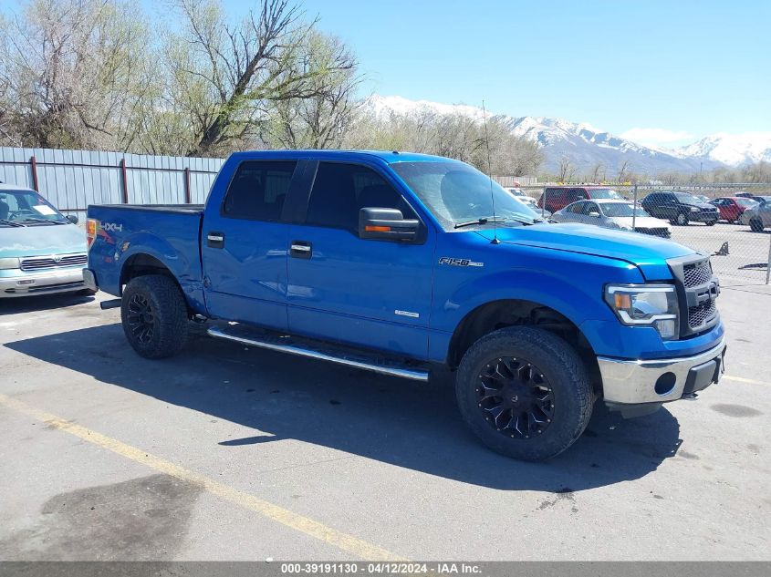 2014 FORD F-150 XLT