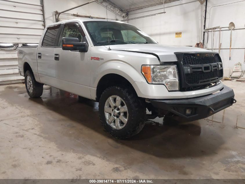 2014 FORD F-150 XLT