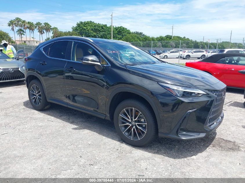 2024 LEXUS NX 250