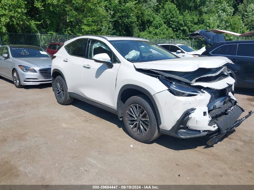 2024 LEXUS NX 350 BASE/350 PREMIUM/350