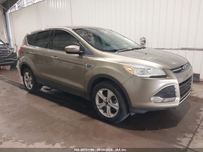 2013 FORD ESCAPE SE