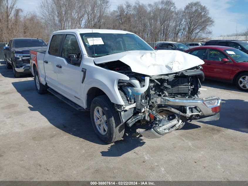 2021 FORD F-150 XL