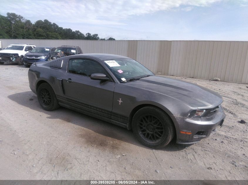 2010 FORD MUSTANG V6/V6 PREMIUM