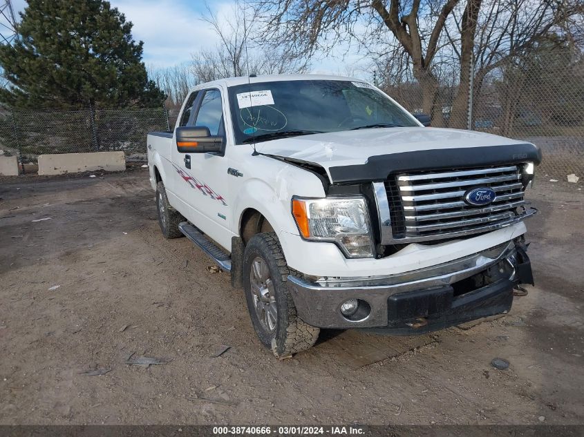 2011 FORD F-150 XLT