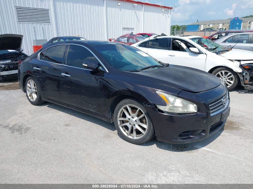 2010 NISSAN MAXIMA S/SV