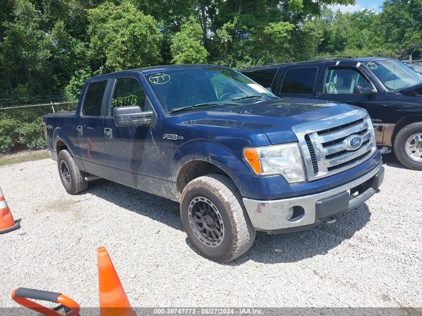 2011 FORD F-150 XLT