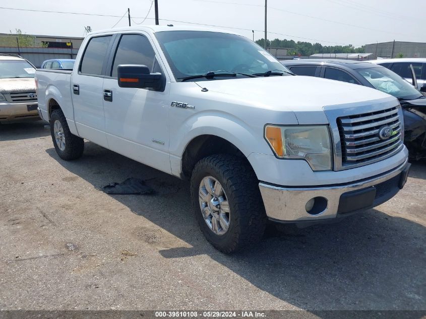 2011 FORD F-150 XLT