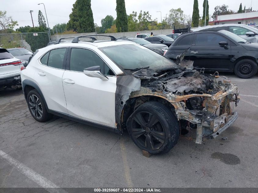 2019 LEXUS UX 200