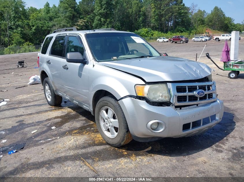 2011 FORD ESCAPE XLT