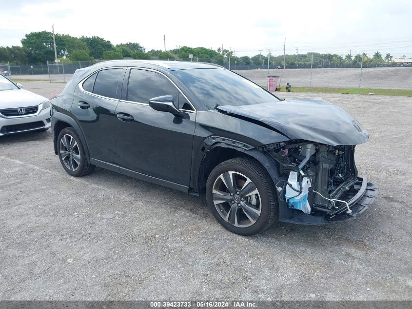 2024 LEXUS UX 250H